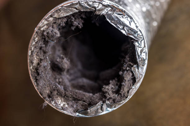 Best Local Air Duct Cleaning Services  in Hoxie, AR