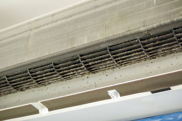 Best Residential Air Duct Cleaning  in Hoxie, AR